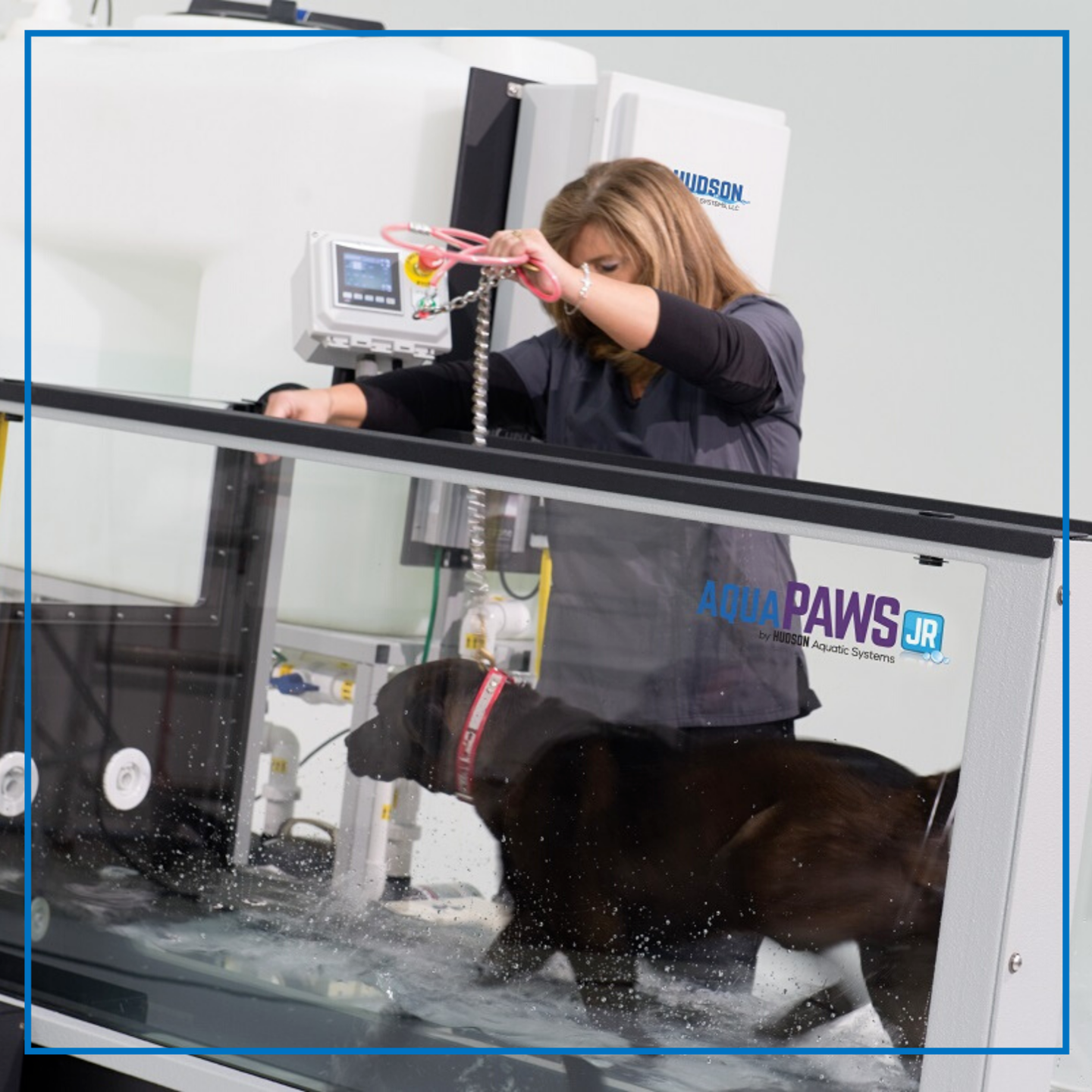 AquaPaws JR (Hudson Aquatic)