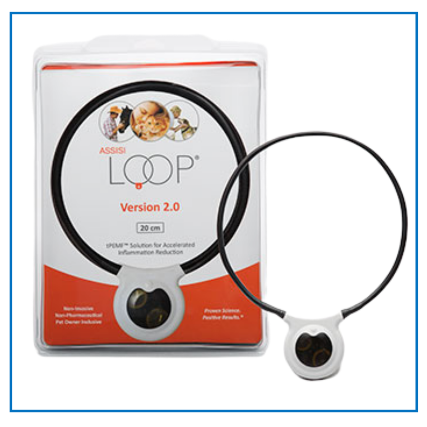 Assisi Loop®