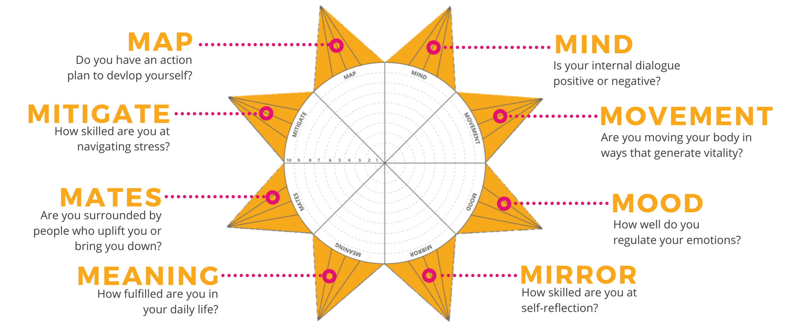 The 8 Impactful M's