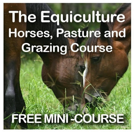 Equiculture horse grazing characteristics free mini course