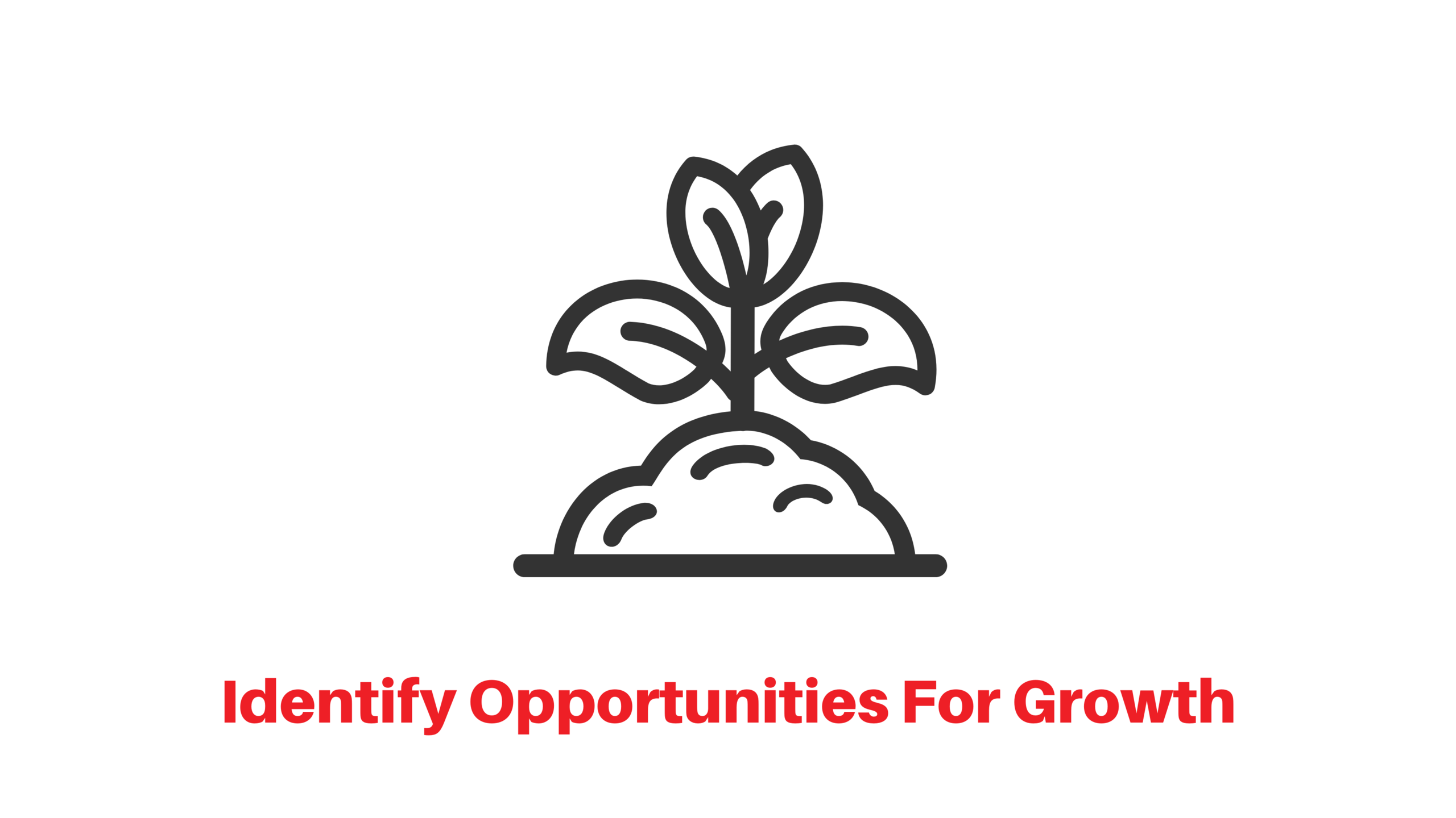 Identify opportunities for growth icon