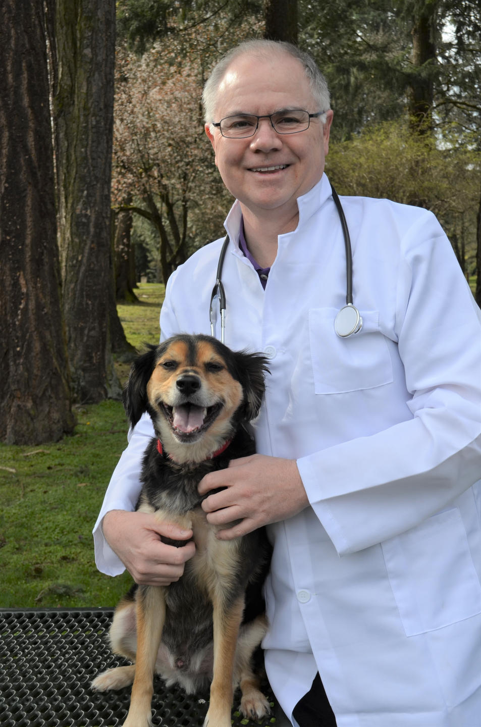 The Investment Doctor and The Investment Dogtor