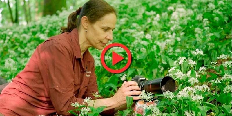 macro photographer shooting
