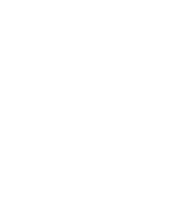 Especialista, PhD, Maestros, conferencias online, cultura, cursos online en vivo