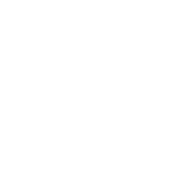 Especialista, PhD, Maestros, conferencias online, cultura, cursos online en vivo