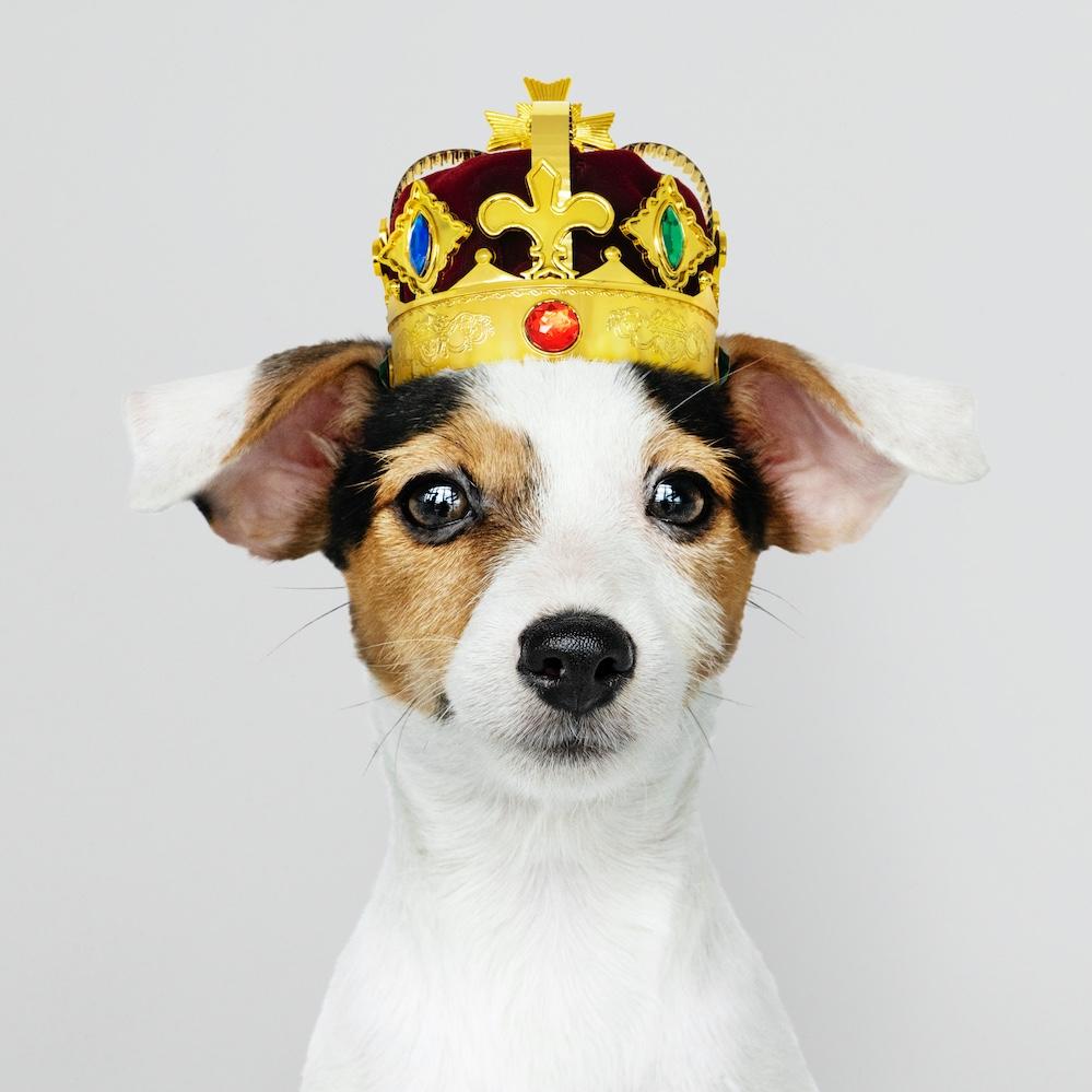 Placeholder Image