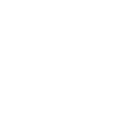 Especialista, PhD, Maestros, conferencias online, cultura, cursos online en vivo