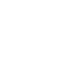 Especialista, PhD, Maestros, conferencias online, cultura, cursos online en vivo