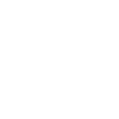 Especialista, PhD, Maestros, conferencias online, cultura, cursos online en vivo