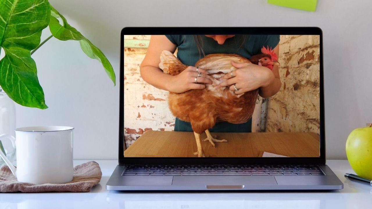 Video Poster Image
