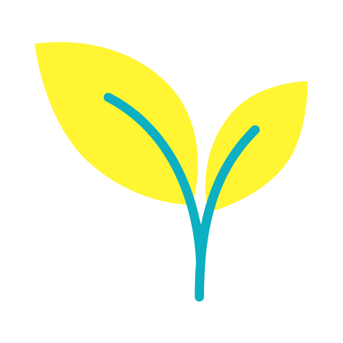 Networking guide link