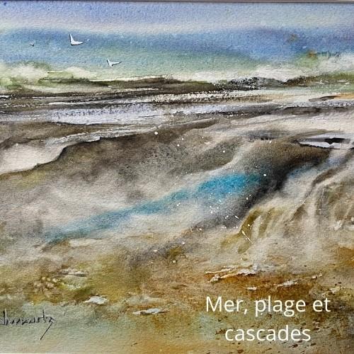 Mer, plage et cascade avec Roland Palmaerts