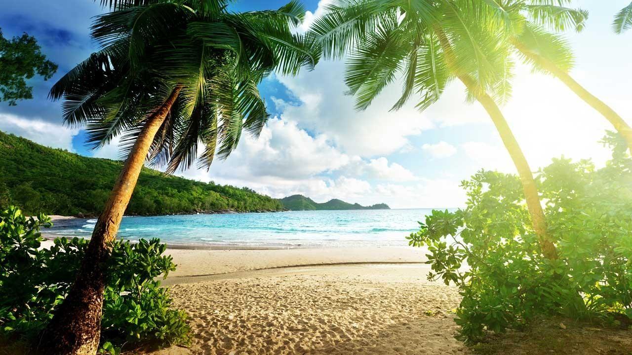 Beach Paradise In The Pearl Islands