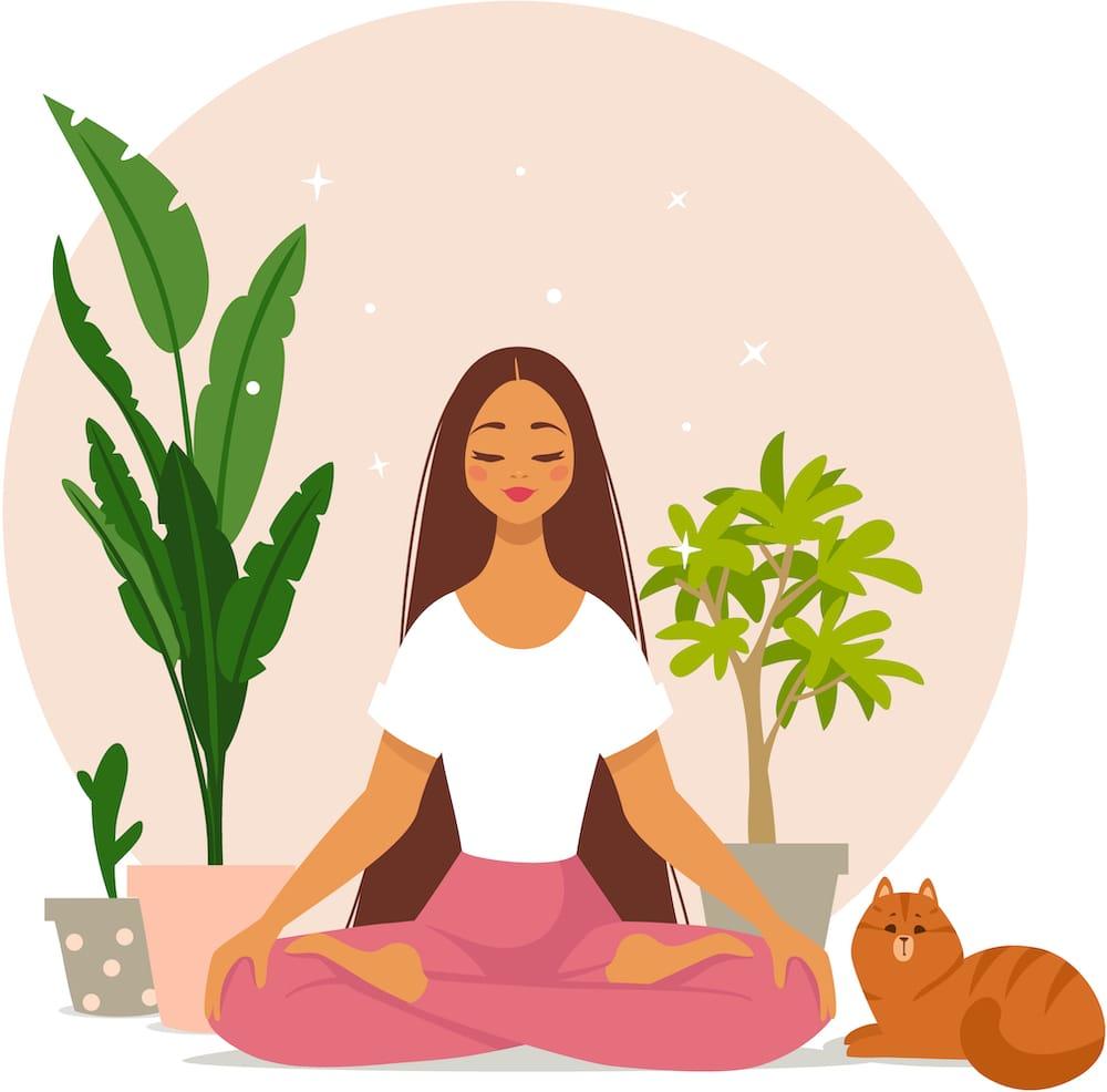 Illustration of a woman having a spiritual awakening experience. She's seated on the floor with eyes closed, beside houseplants and a cat.