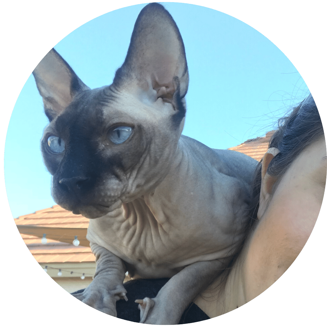 Placeholder Image
