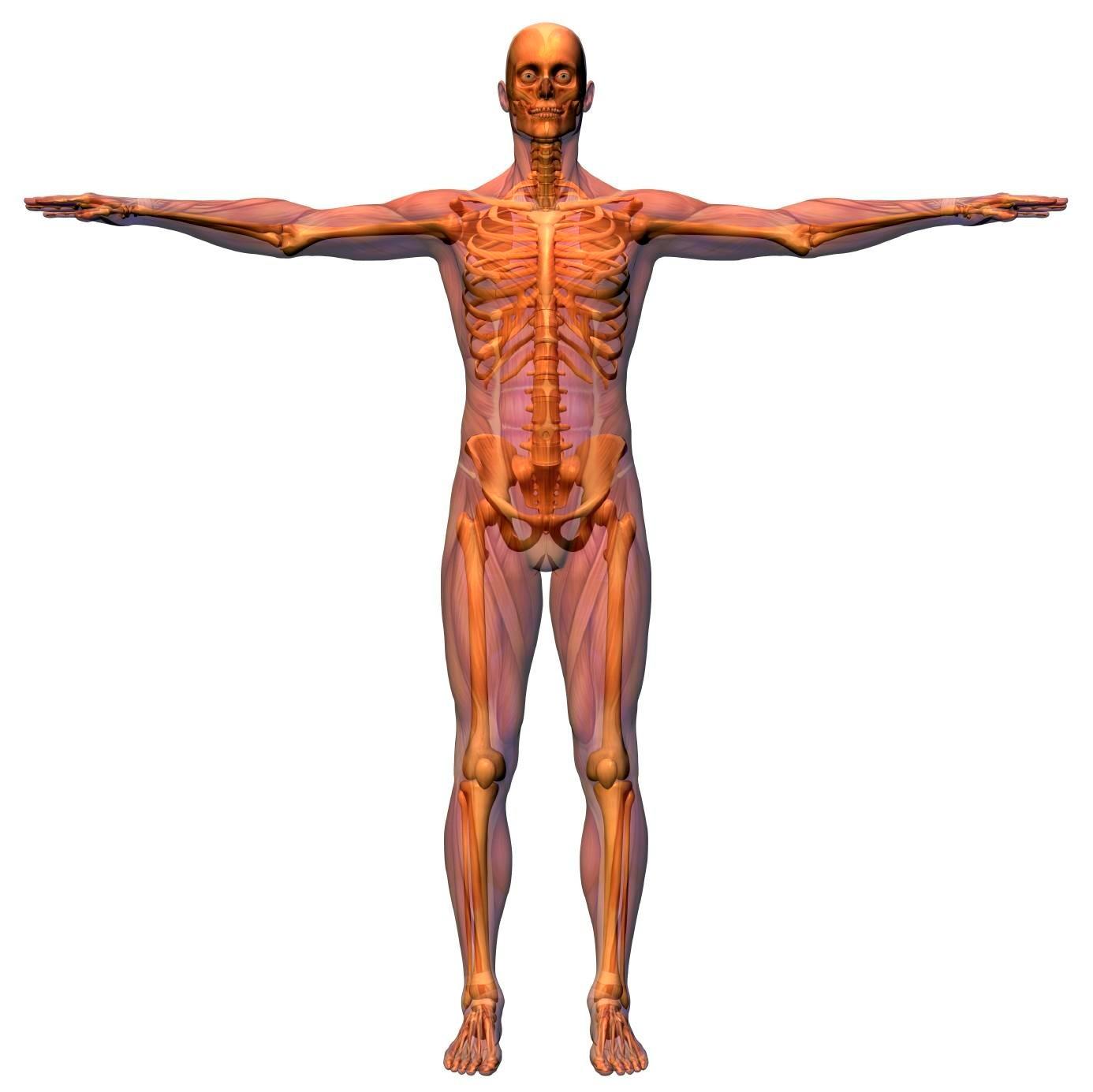 Tennis Fitness - Easy Way To Learn Sports Massage