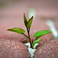Kristen Fragnoli believes in resilience