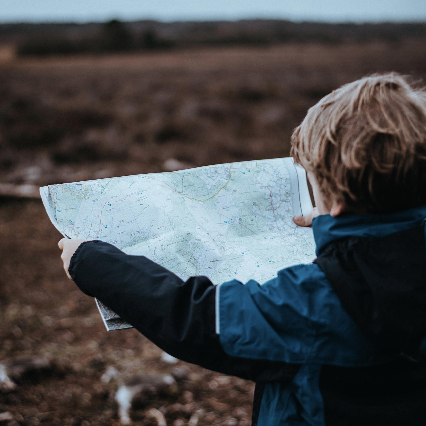 annie-spratt-kZO9xqmO_TA-unsplash