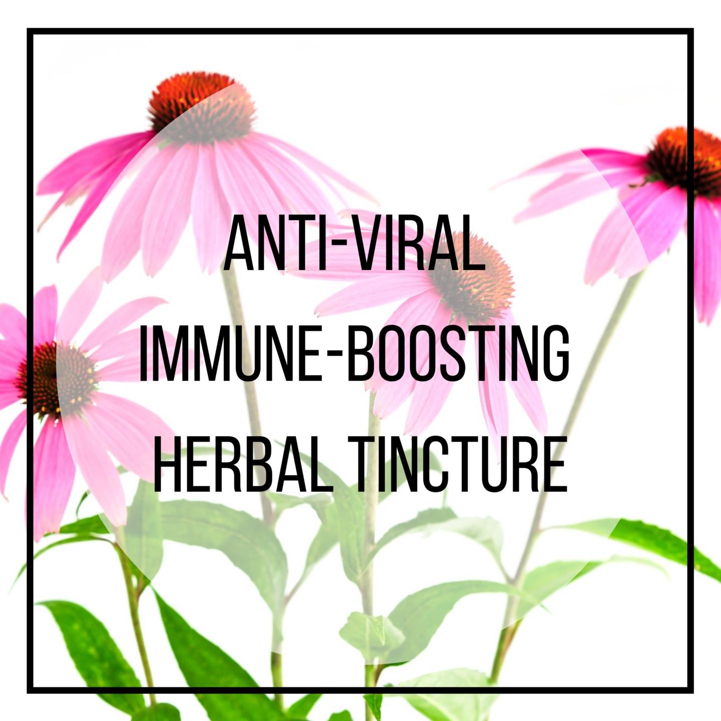 echineaca, elderberry, astragulus immune support