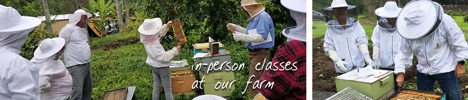 beekeeping class in hawaii