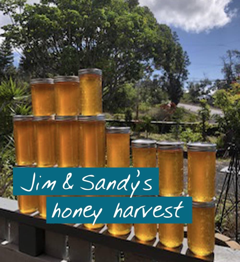 beekeeping class student's honey