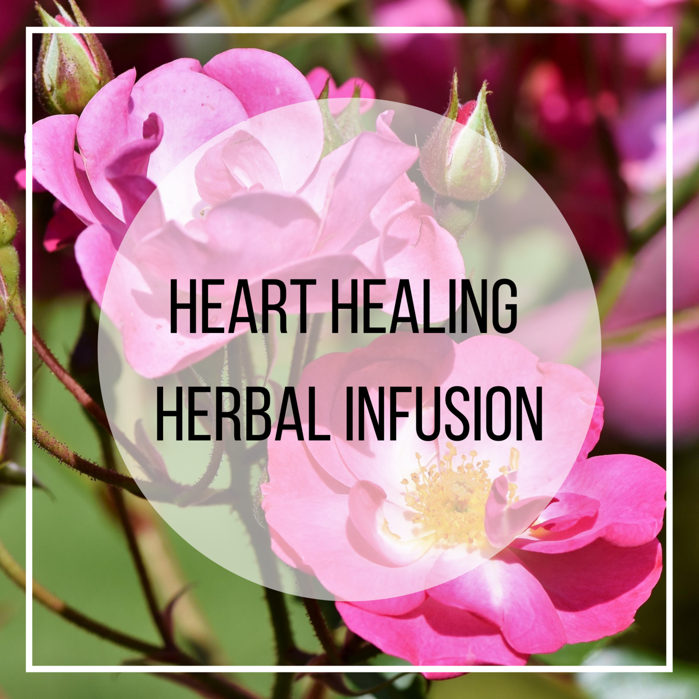 emotional support, grief, linden, rose, hawthorn herbal remedies