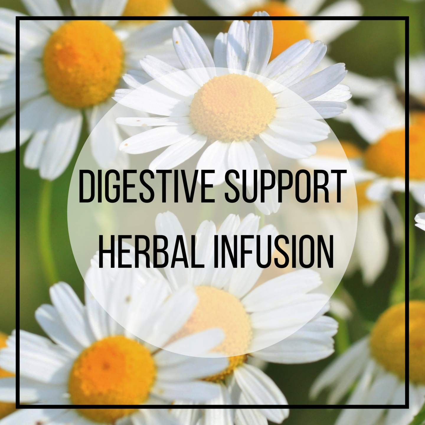 chamonile, fennel, peppermint, marshmallow, meadowsweet digestive herbal remedy