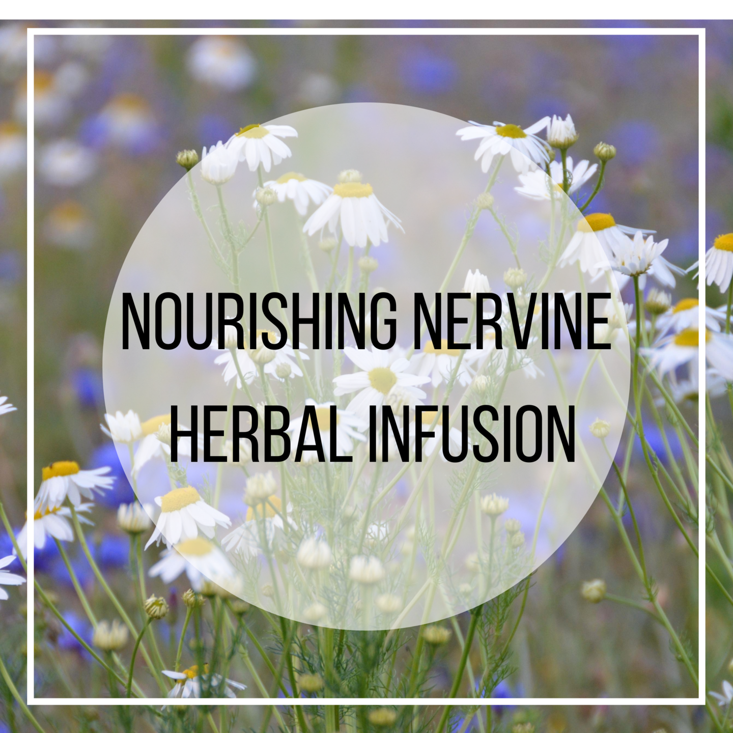 oatstraw, chamomile, linden, nettle herbs for the nervous system