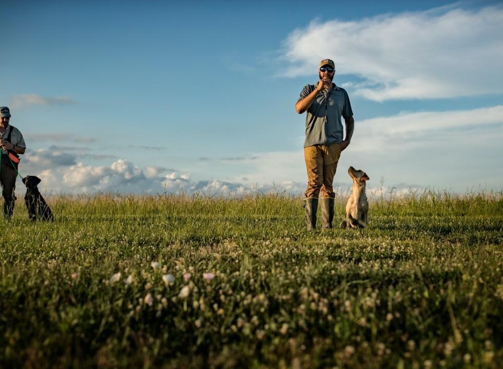 Gundog Handler Skills