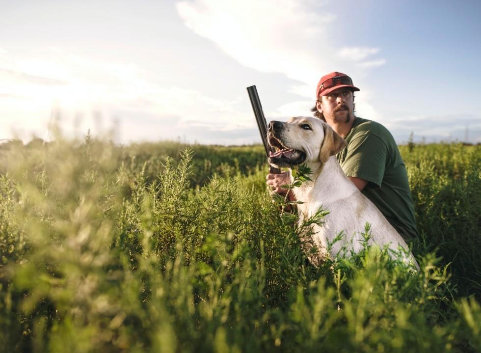 Gundog Training Problems and Solutions