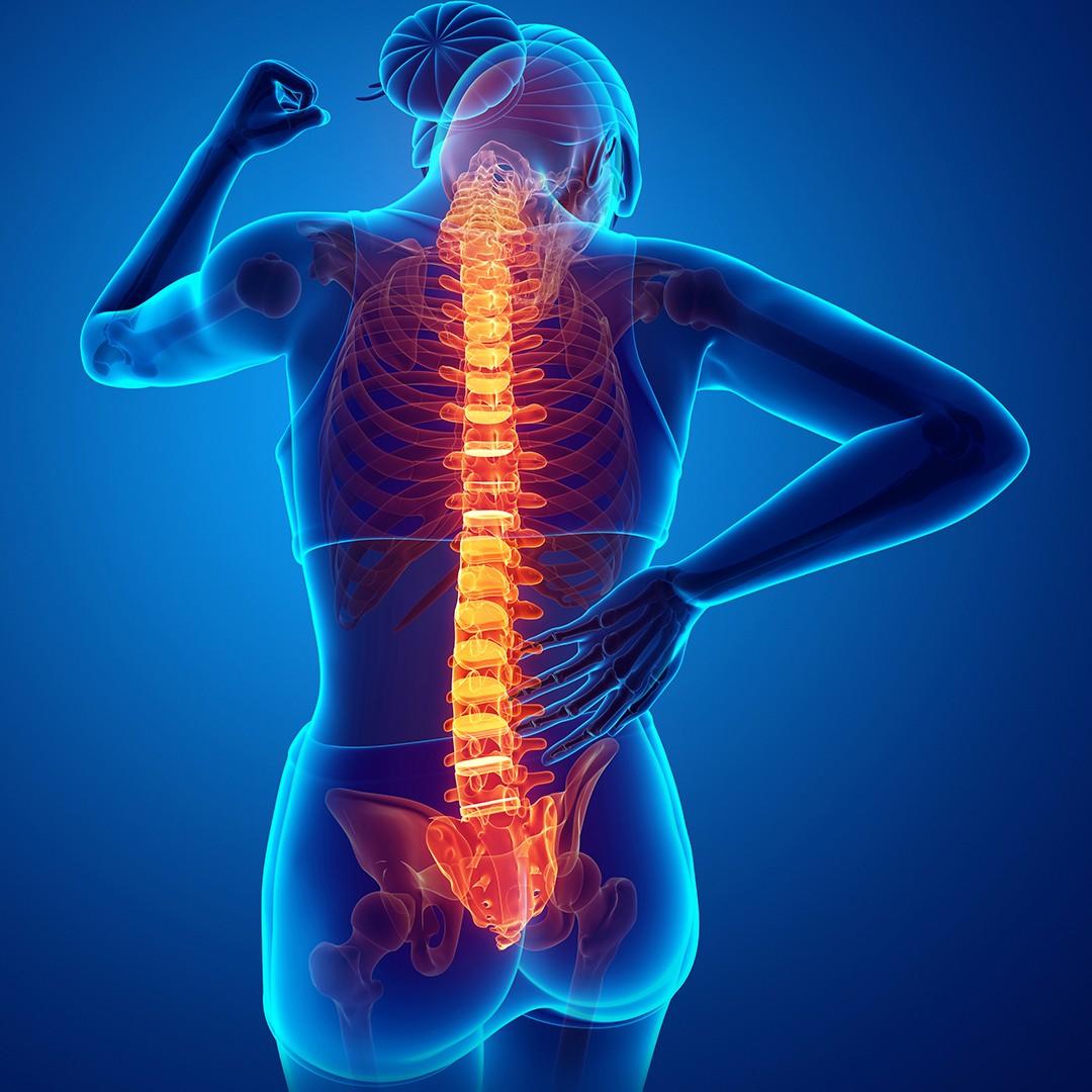 Chiropractic Care - Chiropractor Mississauga Port Credit at pureBalance Wellness Cancer Care