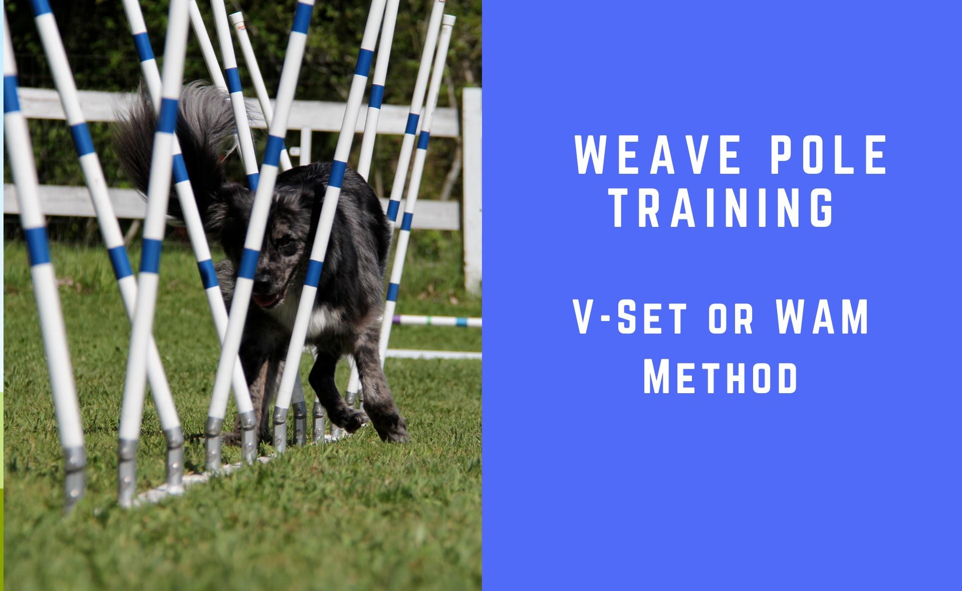 2x2 weave training