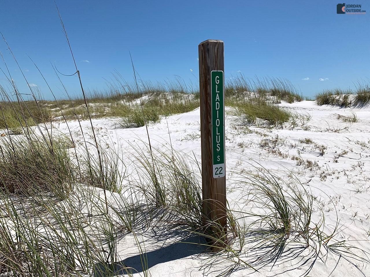 Gladiolus Post Marker
