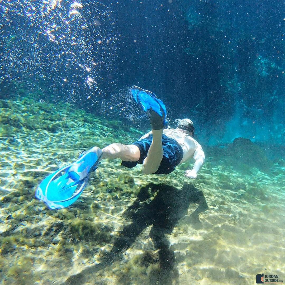 Snorkeling at Fanning Springs
