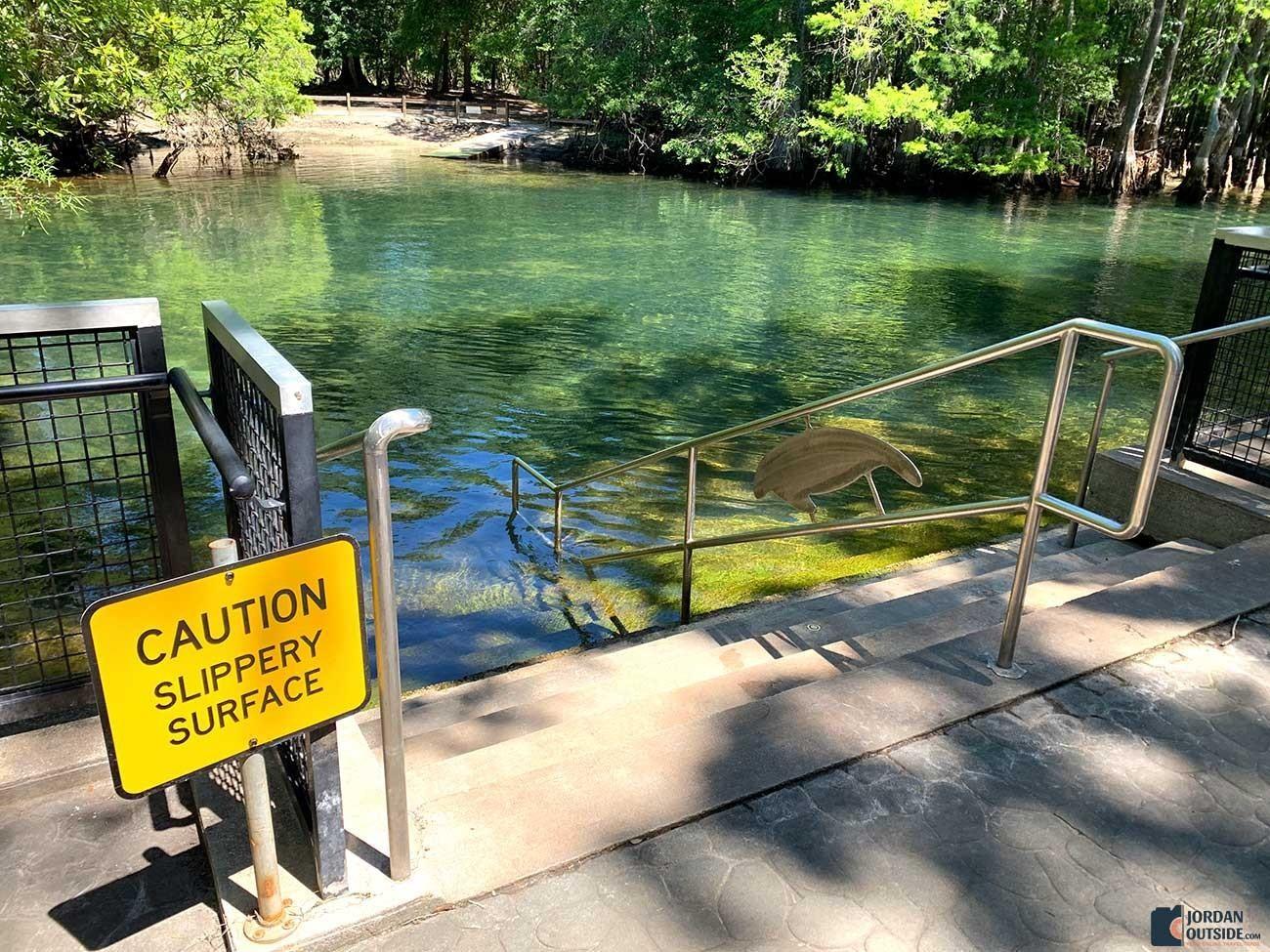 Manatee Springs Steps into the water