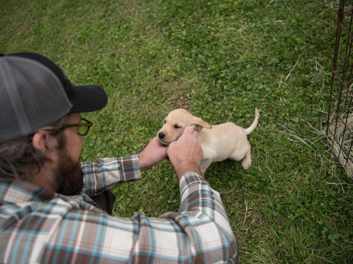 Success With Your Puppy
