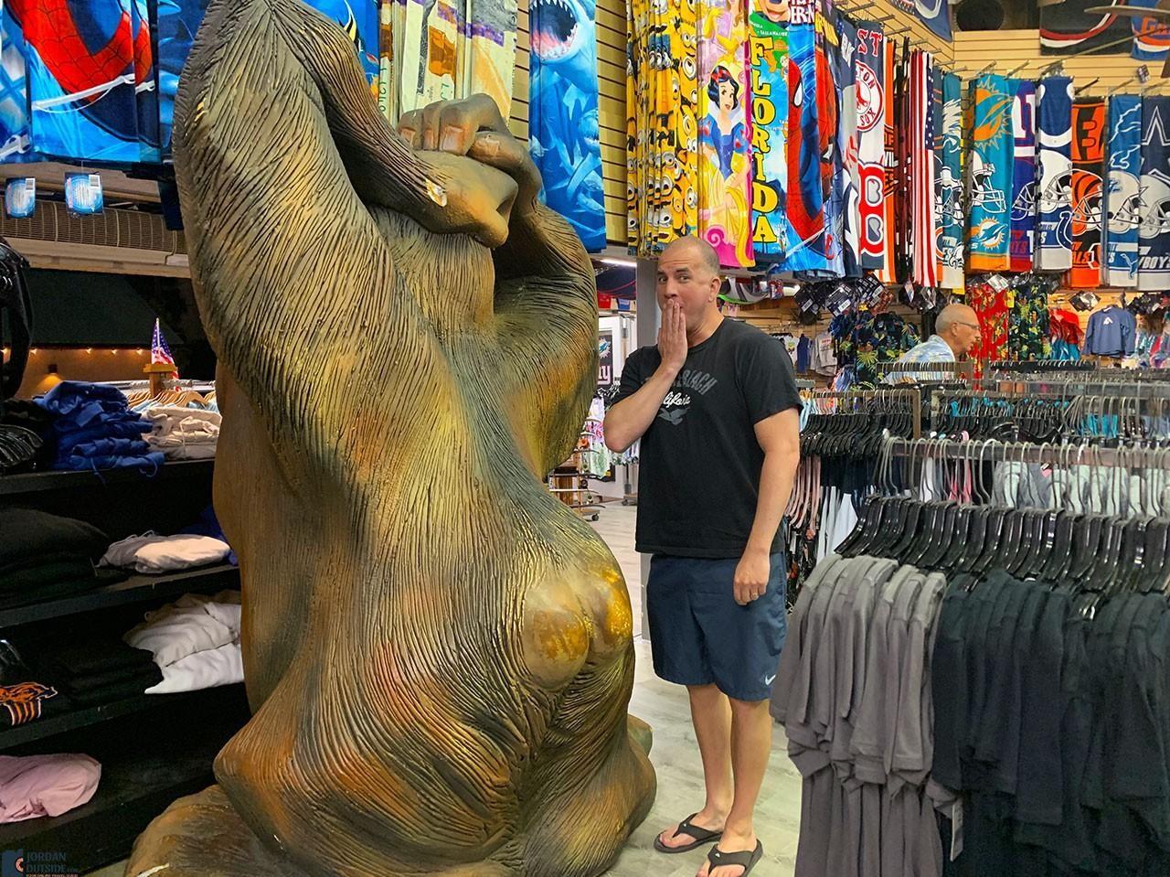 Gorilla