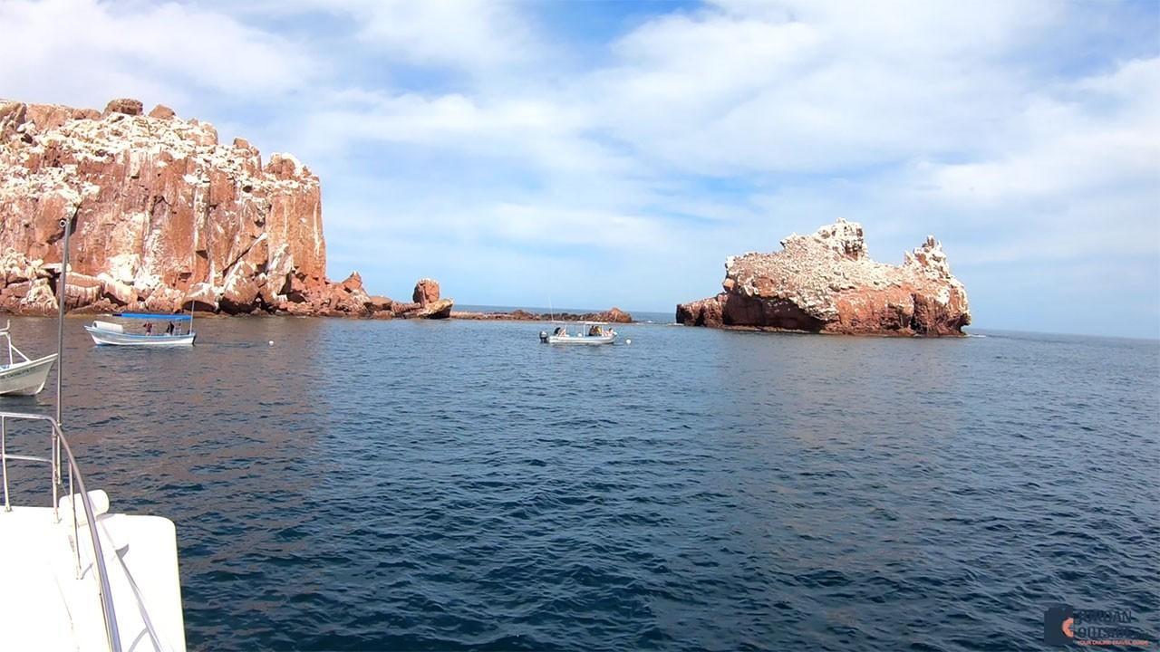 Sea Lion Colony in the Sea of Cortez