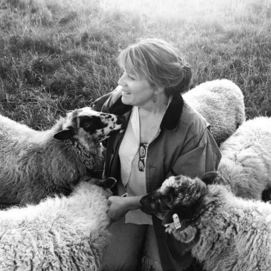 Sheep to Shawl, Natural Dyeing