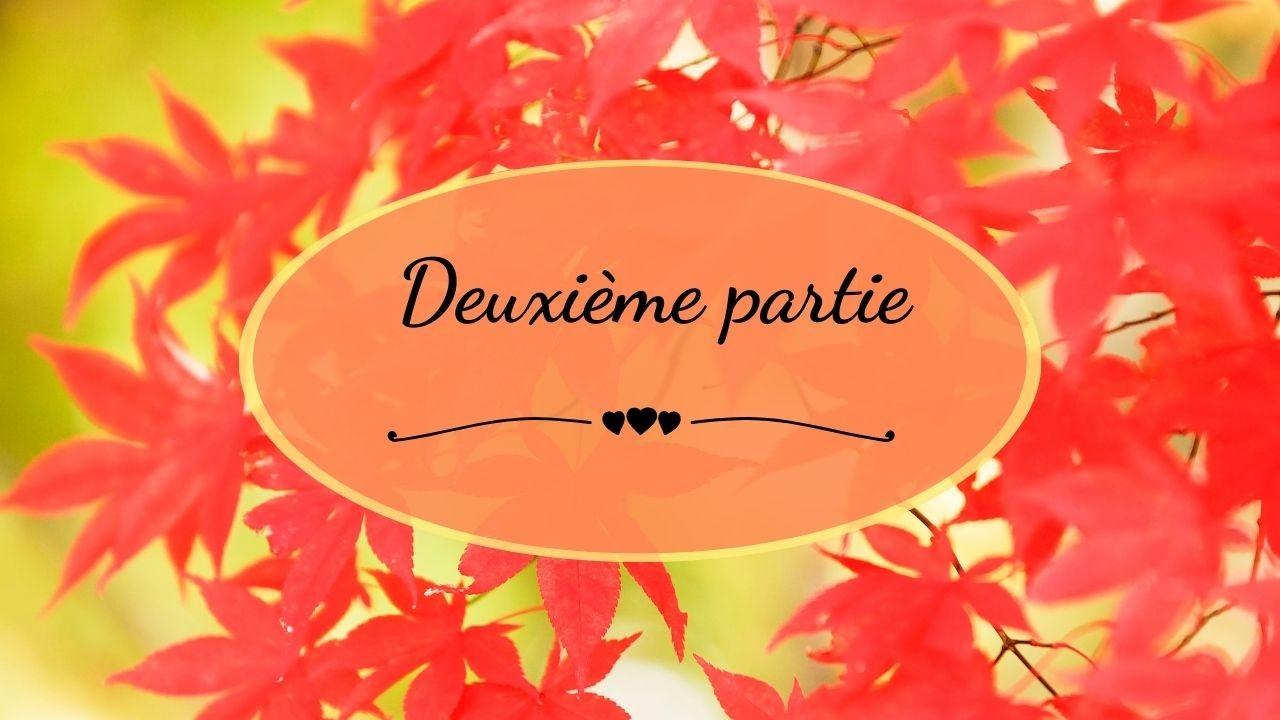 Des idées de repas sans sucre