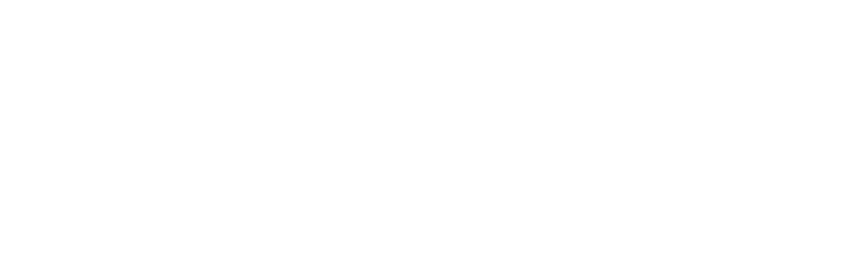 Princeton College Consulting Navigating Student Through Admissions