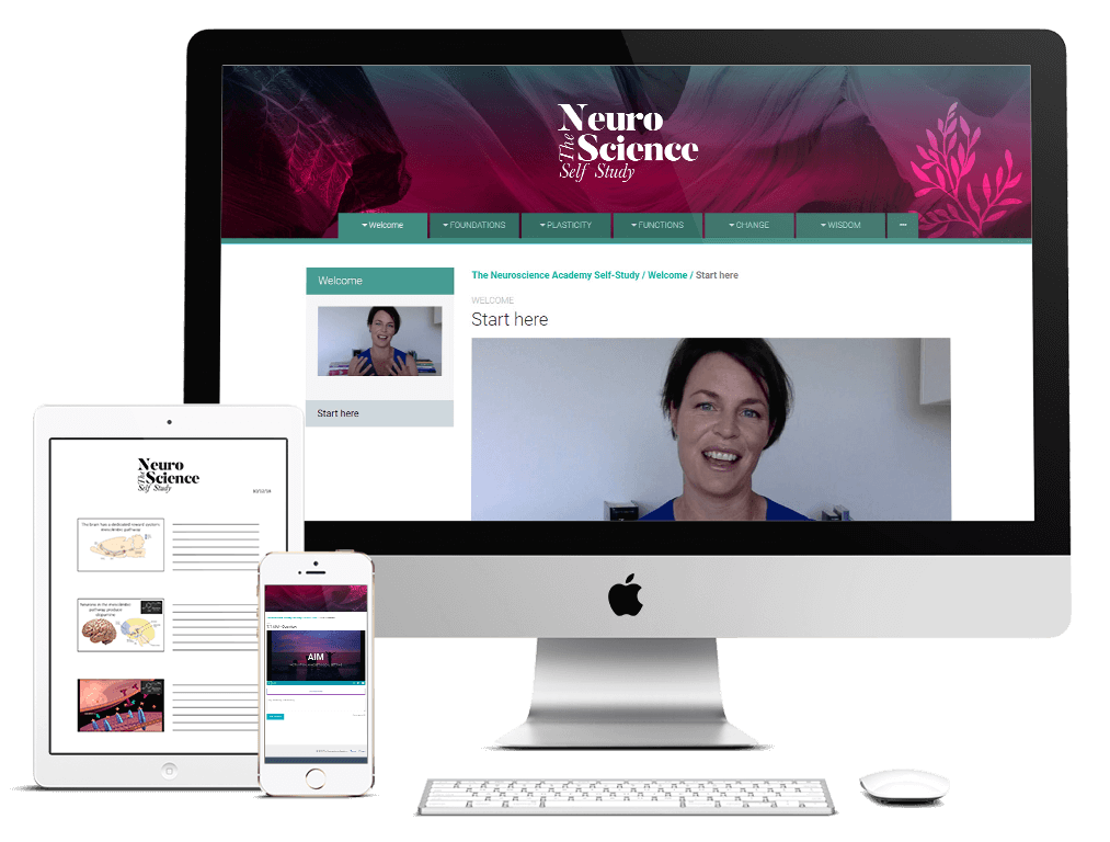 Neuroscience Self Study Program with People Builders Institute