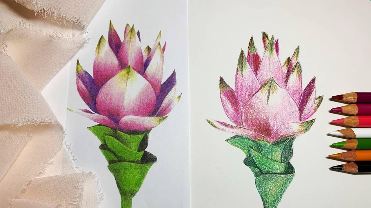 Color Application with Colored Pencils
