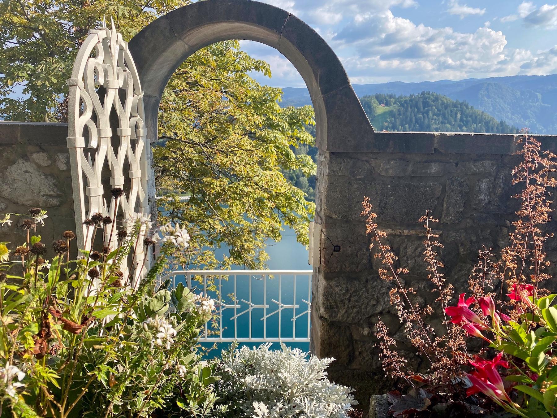 Business Accelerator & Visibility Retreats, Slovenia. Planet Peacock