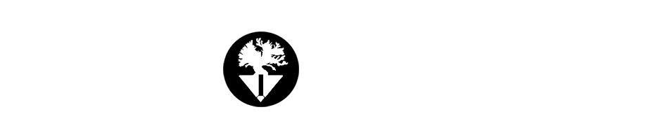 Simon Hamptaux - Callisthénie