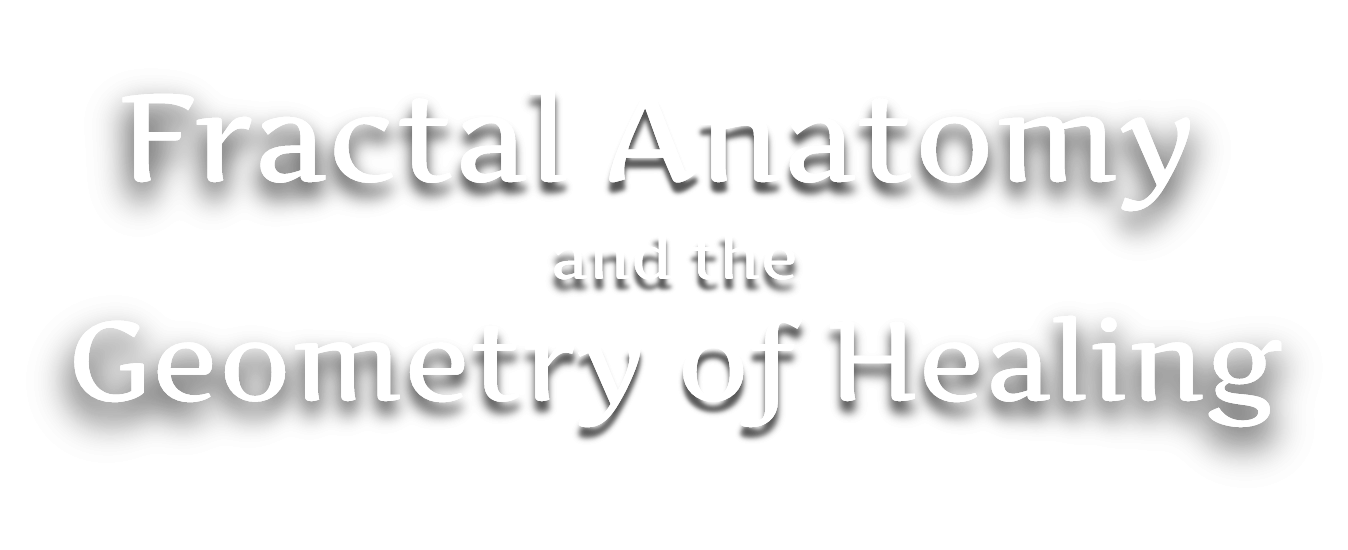 Fractal Anatomy & The Geometry of Healing
