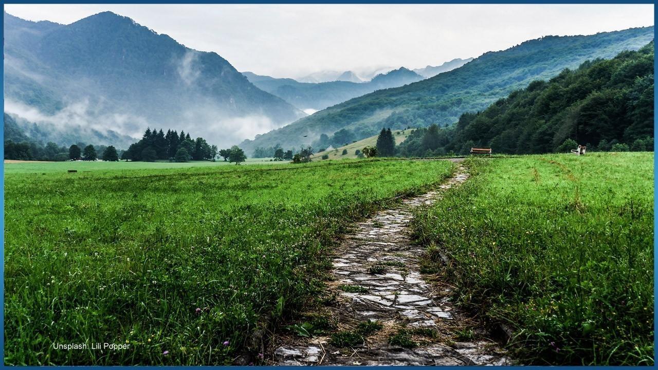 Rocky path in grassy field