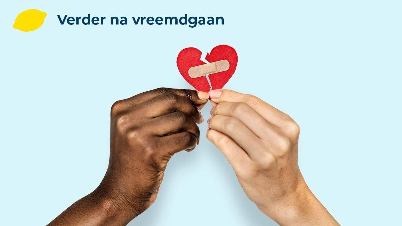 Verder na vreemdgaan. In 16 weken herstellen van ontrouw
