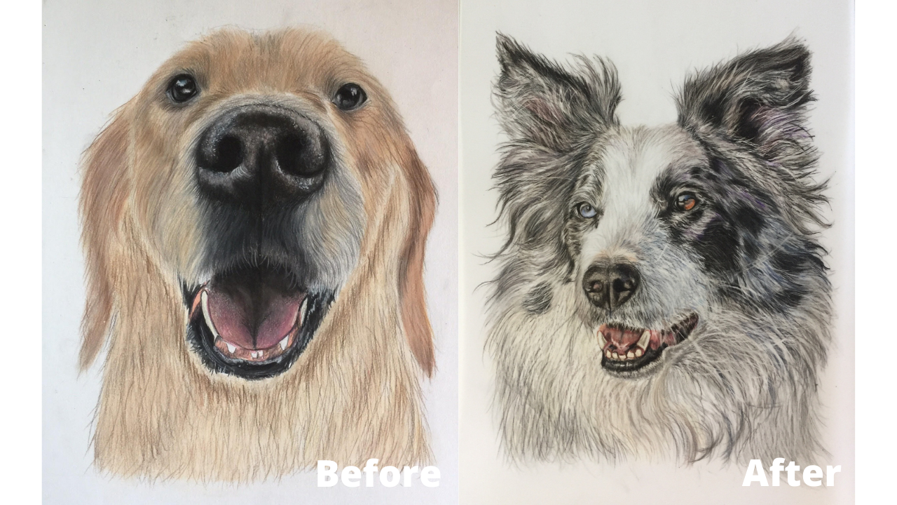 Zeynep Gur - Before and After - Patreon - Bonny Snowdon Fine Art