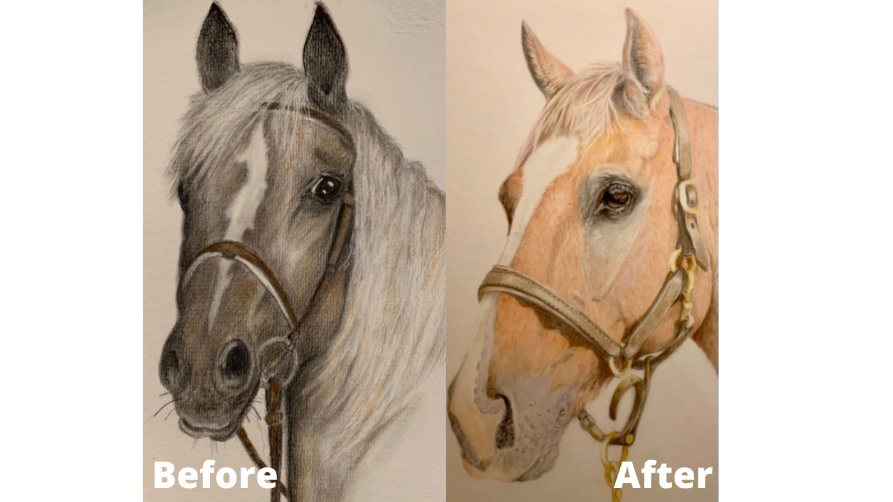 Joellen Conway - Before and After - Patreon - Bonny Snowdon Fine Art